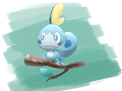 Sobble from Pokemon Sword and Shield
